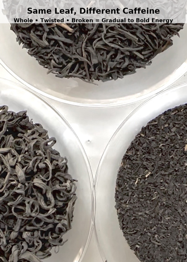 Mixed grades of Kenyan purple tea leaves highlighting natural color variation and artisanal hand-picking