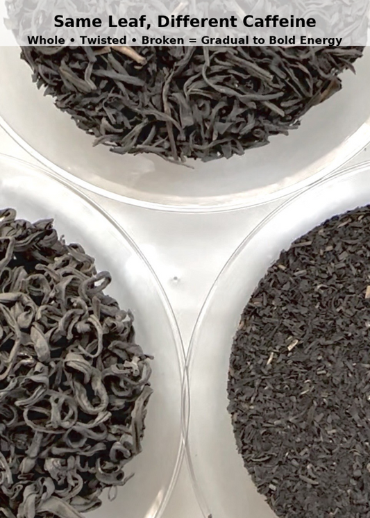 Mixed grades of Kenyan purple tea leaves highlighting natural color variation and artisanal hand-picking